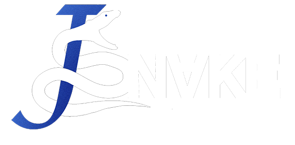 Jsnake Logo – International DJ and Producer